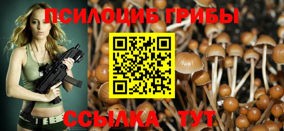 как найти   Галлюциногенные грибы Psilocybe  Вход с VPN  Канаш 