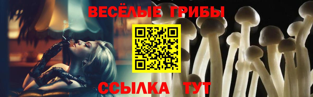 Галлюциногенные грибы ЛСД Канаш